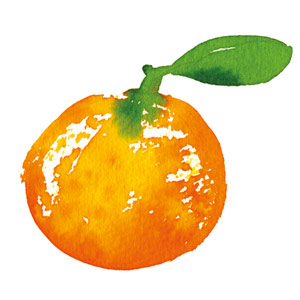 Organic Sicilian Orange