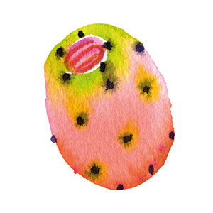 Organic Prickly Pear