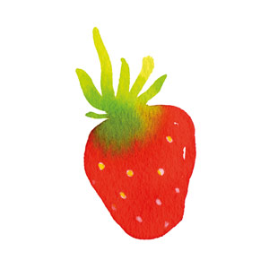 Organic Senga Sengana Strawberry