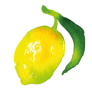 Organic Sicilian Lemon
